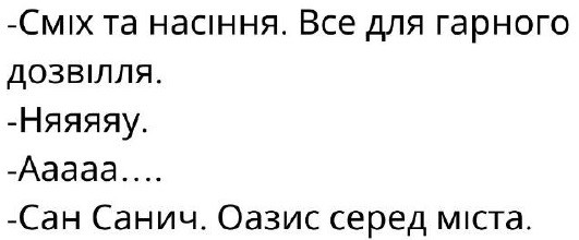 сміх та насіння. все для гарного дозвілля. няяяяу. аааа.. сан санич. оазис серед міста.