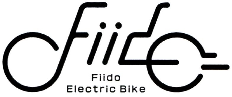 fiido electric bike