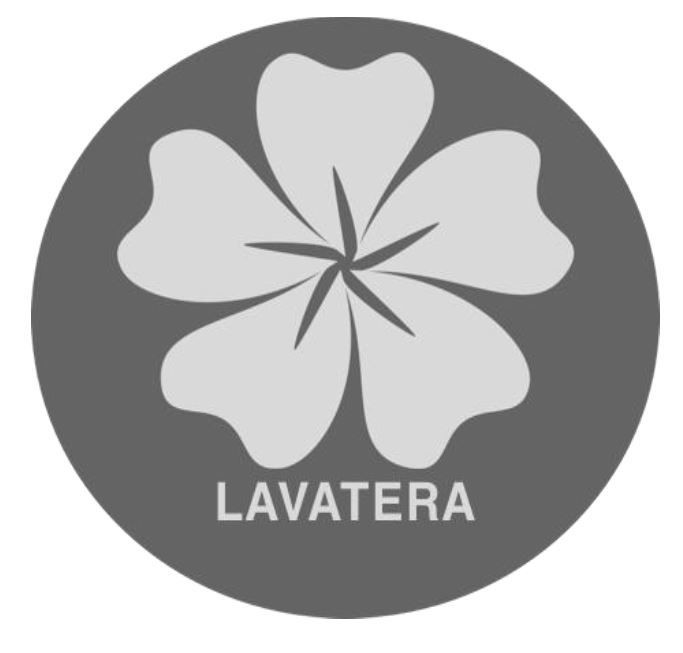 lavatera