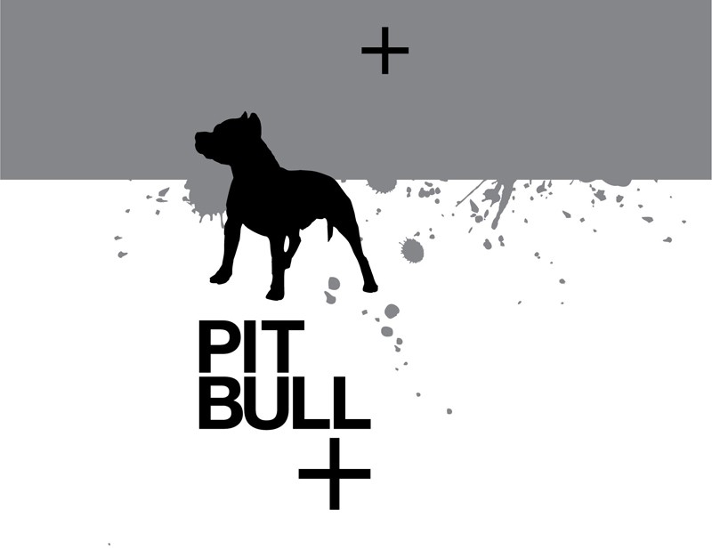 pit bull +