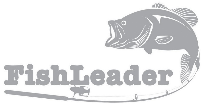 fish leader
