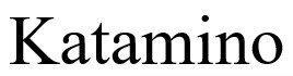 katamino