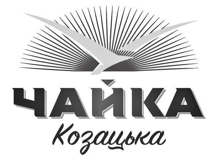 чайка козацька