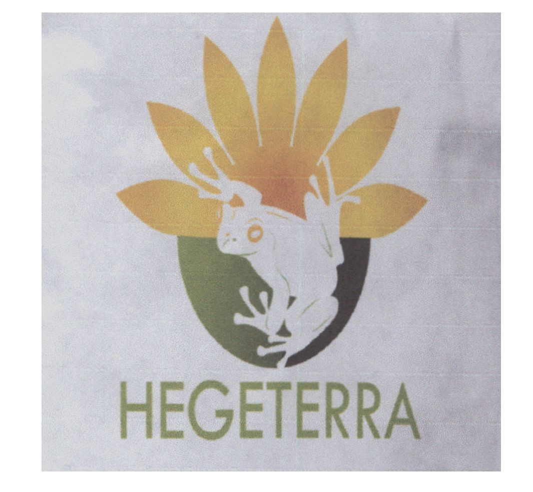 hegeterra
