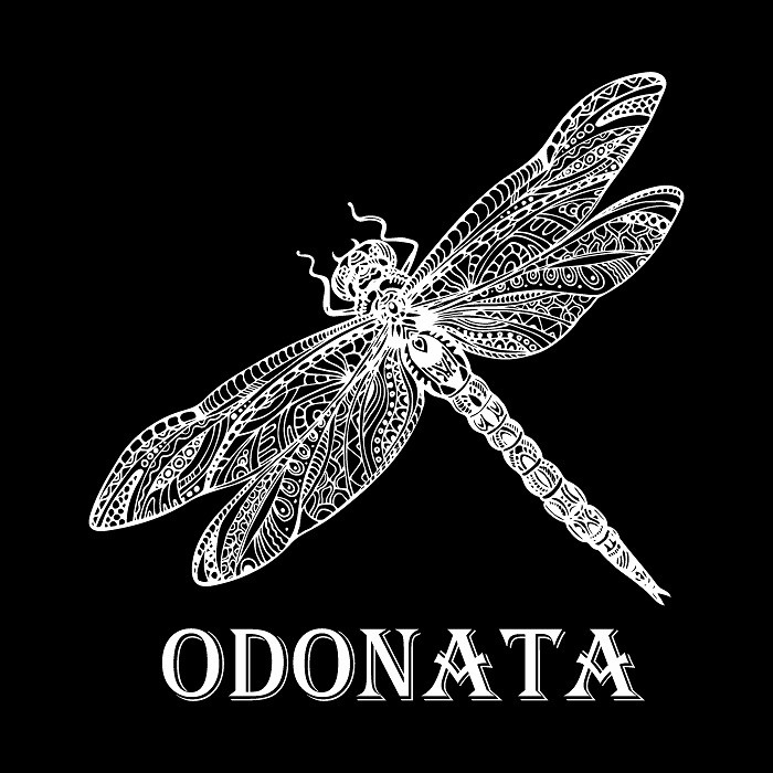 odonata