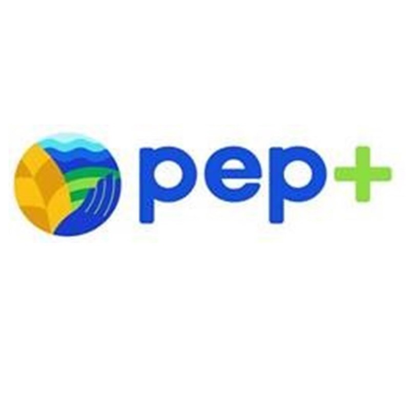 рер+