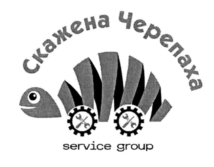 скажена черепаха
