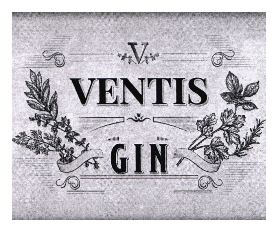 ventis gin
