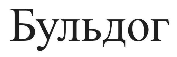 бульдог