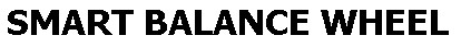 smart balance wheel