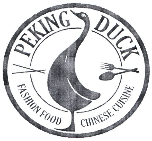 fashion food chinese cuisine