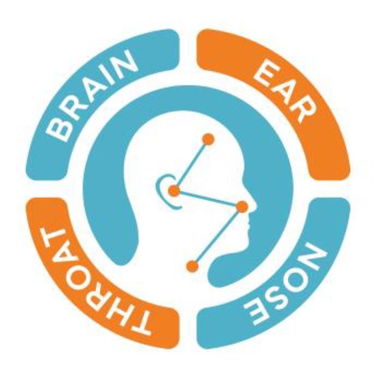 brain ear nose throat
