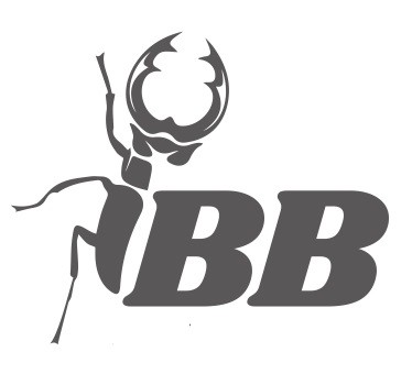 ibb