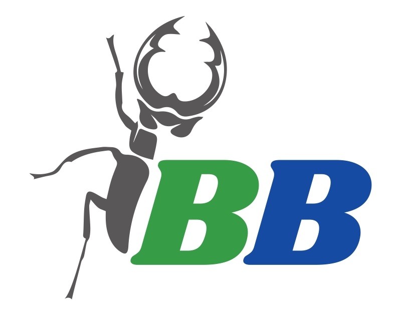 ibb
