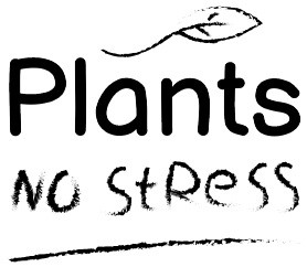 plants no stress