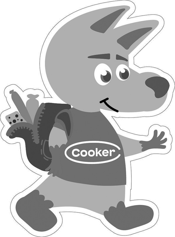 cooker