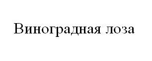 виноградная лоза