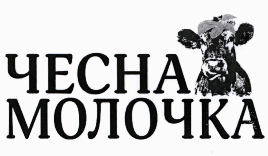 чесна молочка