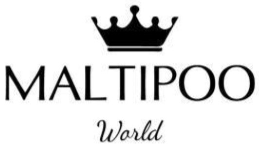 maltipoo world