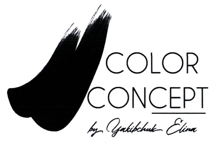 color concept by yakibchuk elina