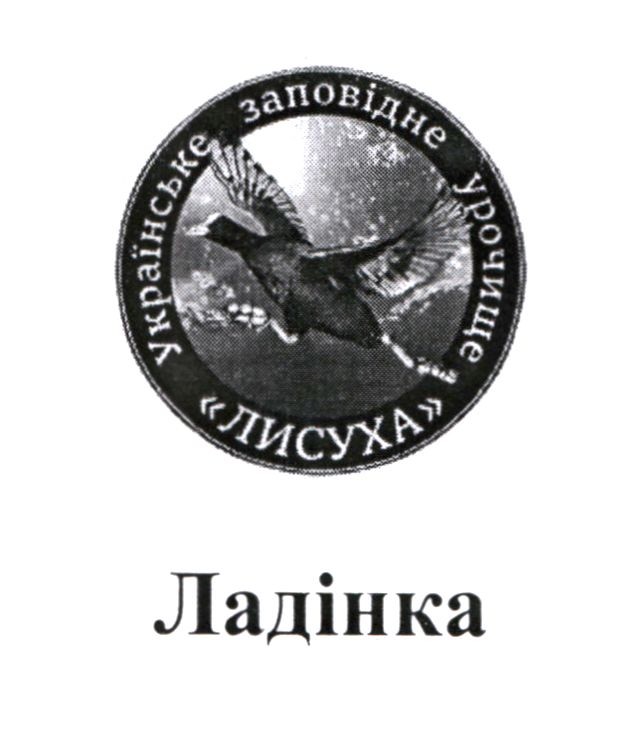 українське заповідне урочище лисуха