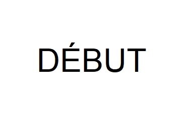 debut