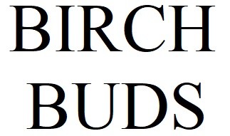 birch buds