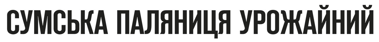 сумська паляниця урожайний