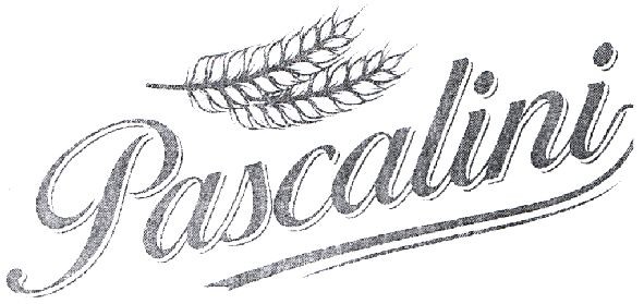 pascalini