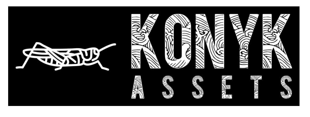 konyk assets