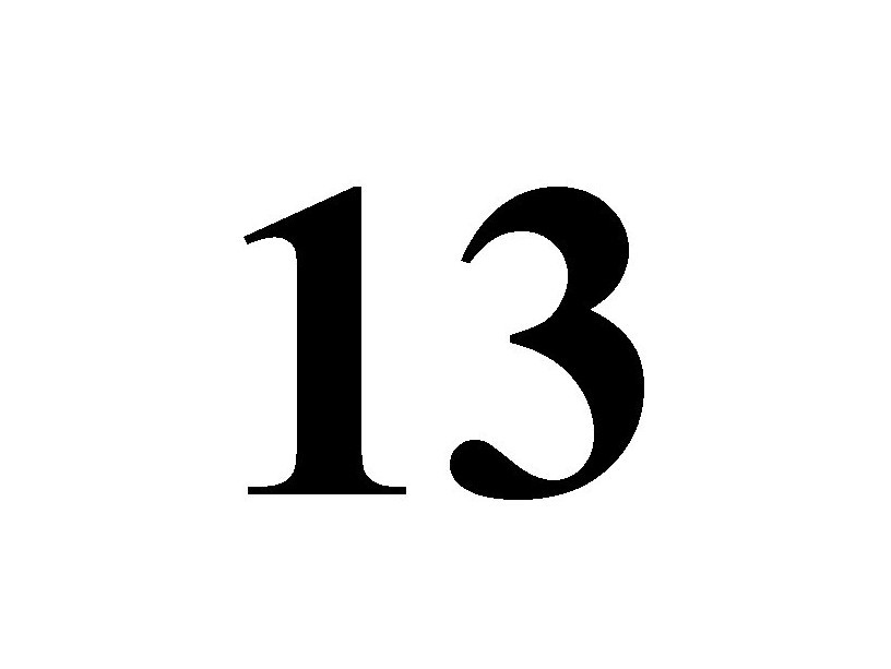 ТМ 13