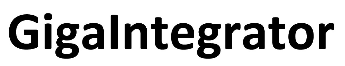 ТМ gigalntegrator