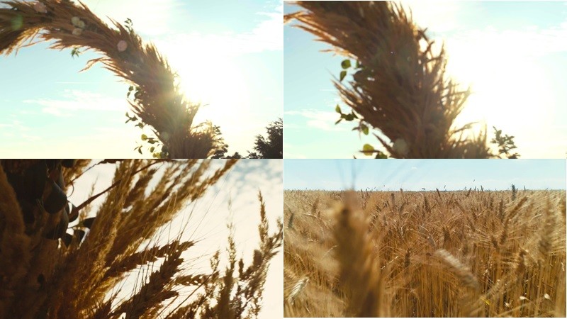 Фігуративна марка № m202113878