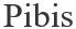 pibis