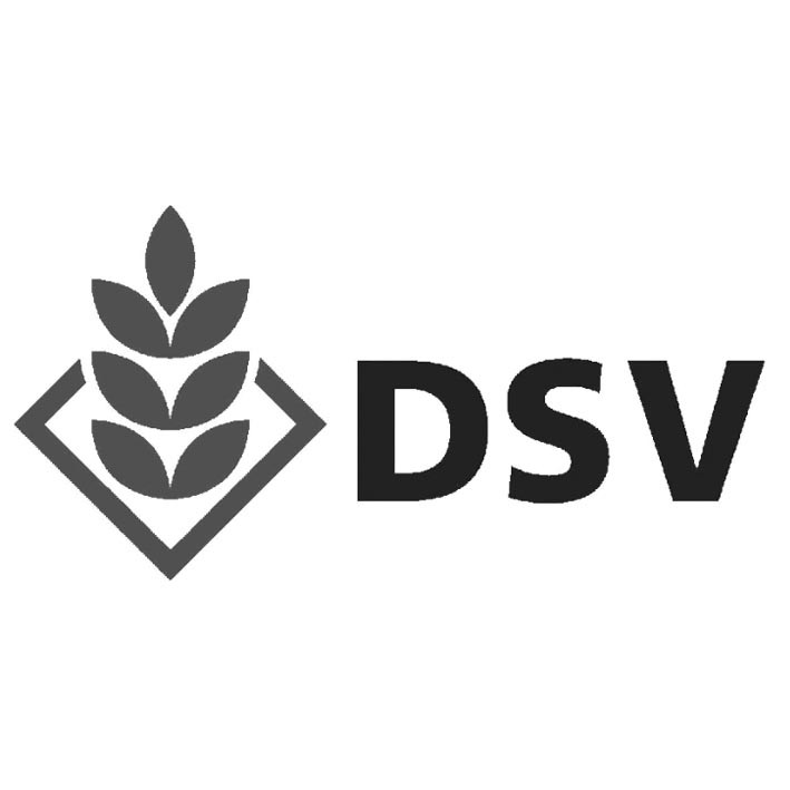 dsv