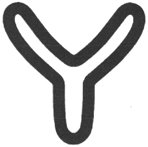 y