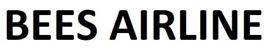 bees airline