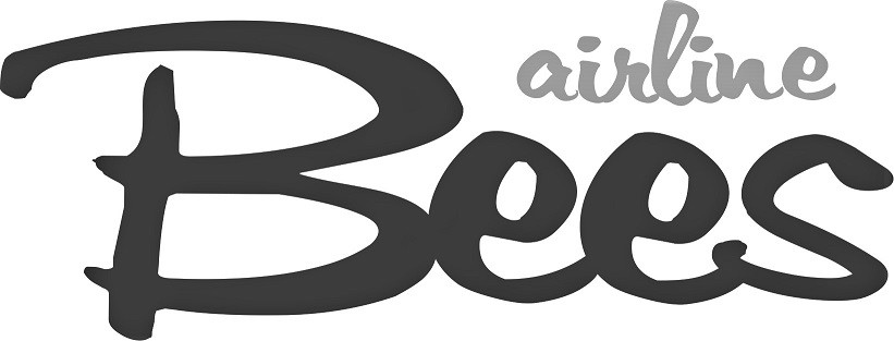bees airline