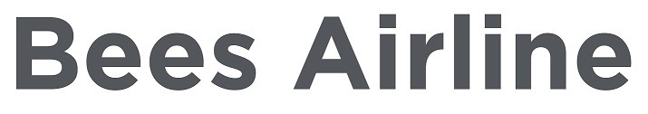 bees airline