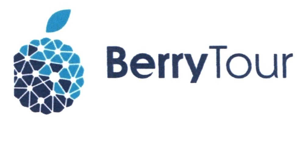 Лого ТМ berry