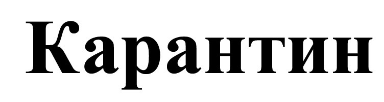 карантин