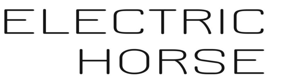 electric horse
