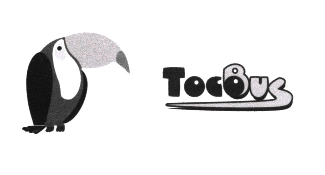 toco bus