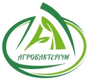 агробактеріум