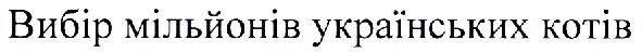 вибір мільйонів українських котів