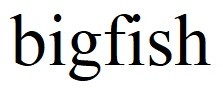 bigfish