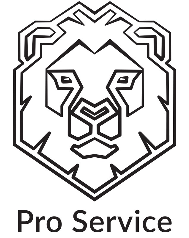 pro service