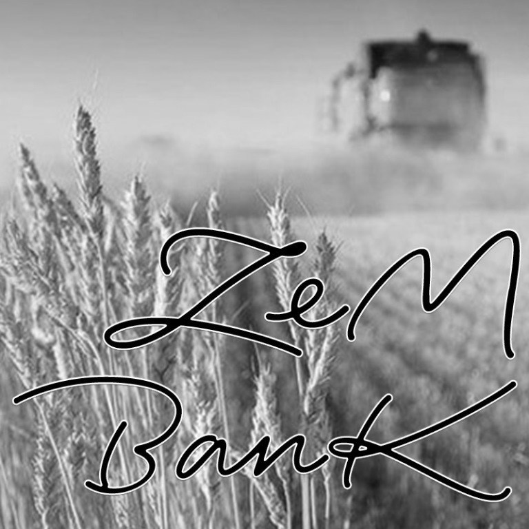 zem bank