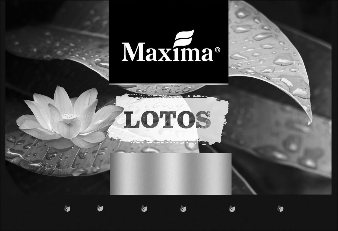 maxima lotos
