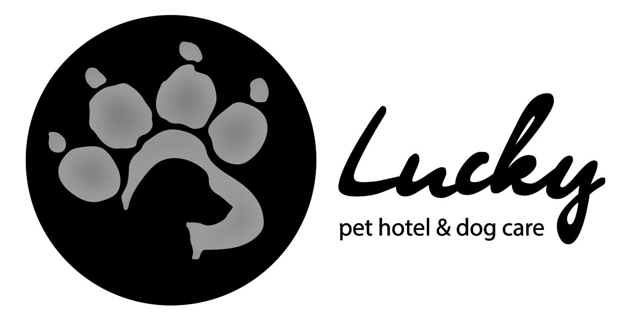 pet hotel&dog care